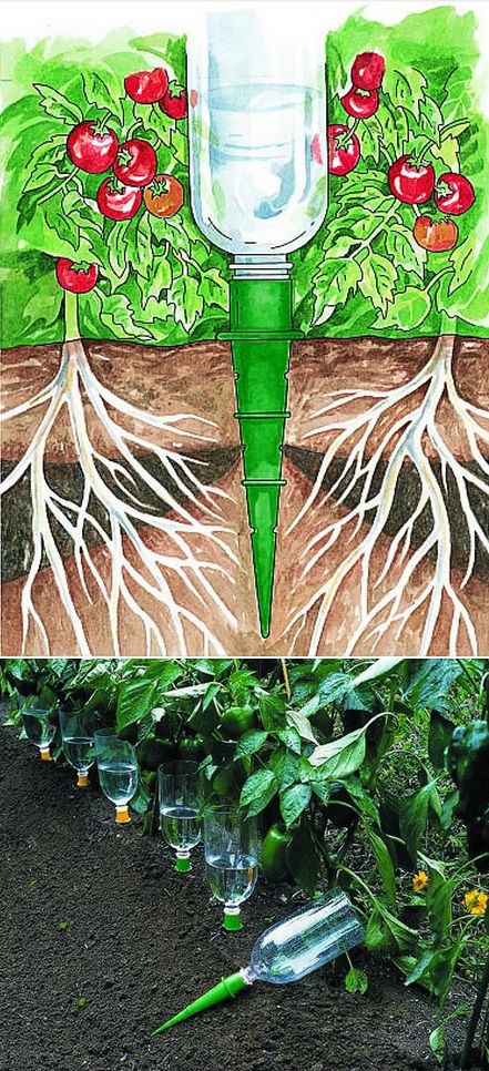 98d319bfe5bce01ecf554376d3d979ec