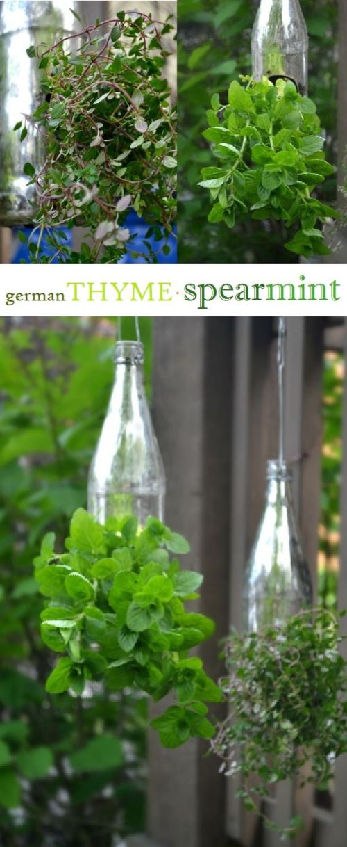 vertikal garden dari botol bekas