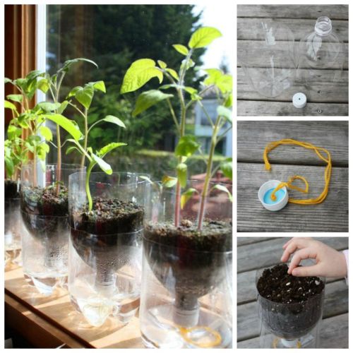 DIY-Self-Watering-Seed-Starter-Pots-from-Plastic-Bottles
