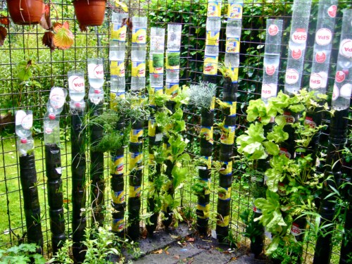 vertikal garden dari botol bekas