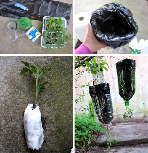 vertikal garden dari botol bekas