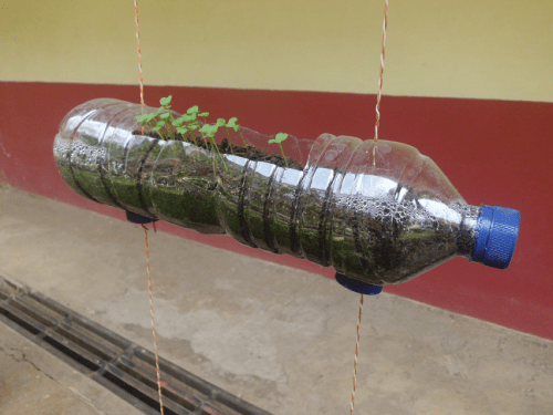 pot botol plastik bekas