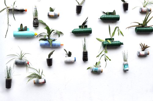 pot botol plastik bekas