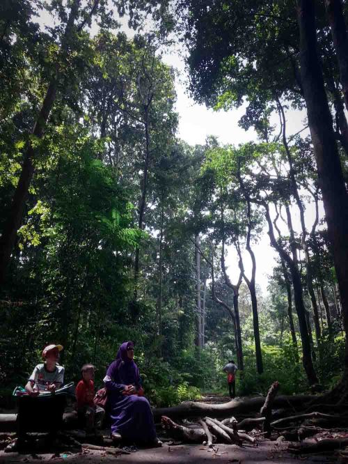 Situ Gede, Dramaga, Bogor