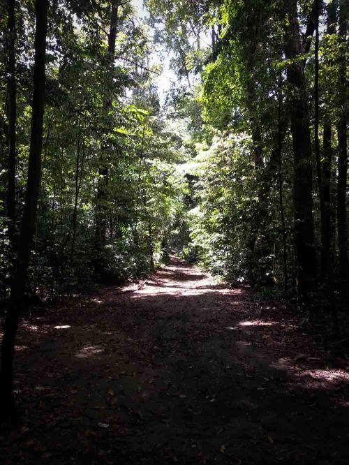 Situ Gede, Dramaga, Bogor