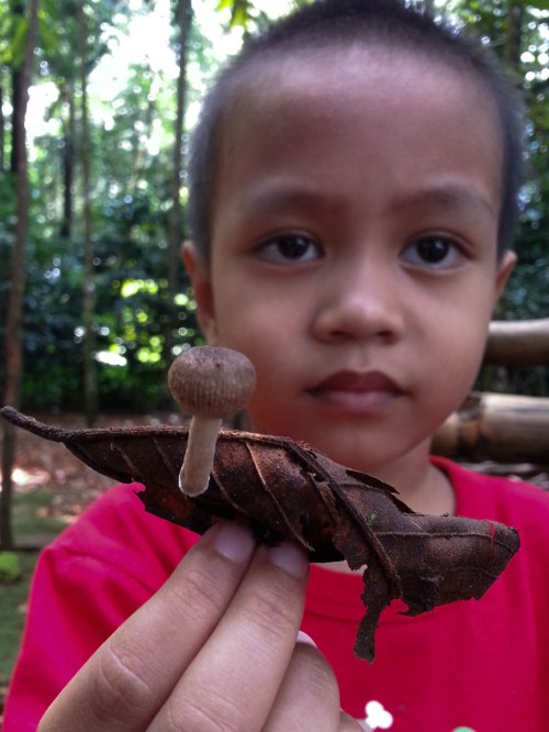 Situ Gede, Dramaga, Bogor