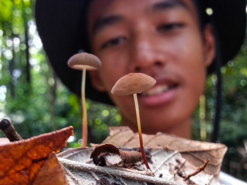 Situ Gede, Dramaga, Bogor