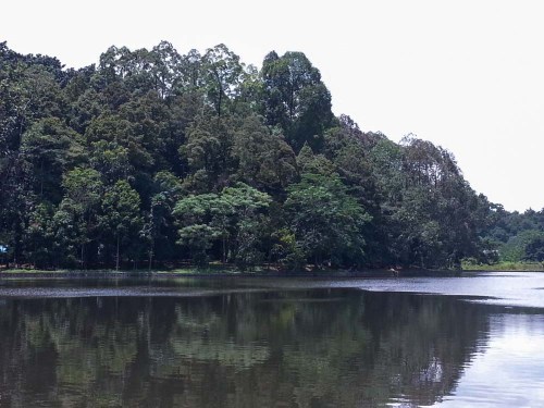 Situ Gede, Dramaga, Bogor