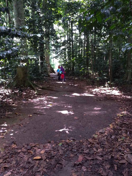 Situ Gede, Dramaga, Bogor