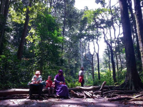 Situ Gede, Dramaga, Bogor