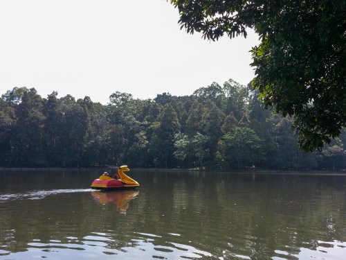 Situ Gede, Dramaga, Bogor