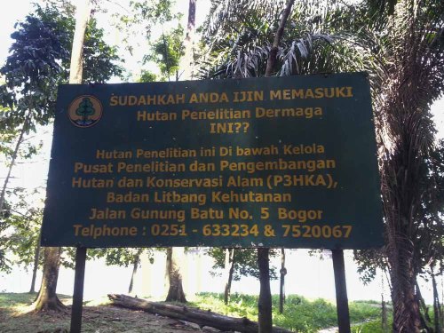 Situ Gede, Dramaga, Bogor