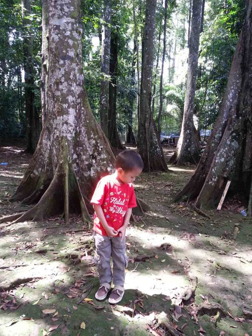 Situ Gede, Dramaga, Bogor