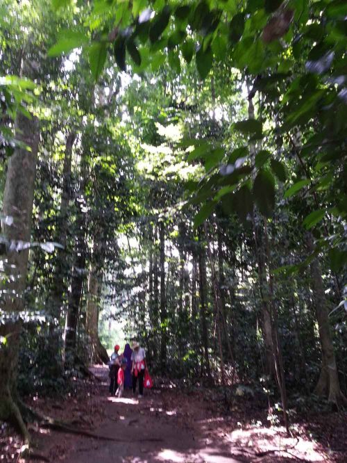 Situ Gede, Dramaga, Bogor