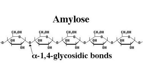 1329761636amylose