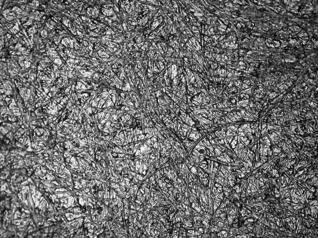 selulosa sawit dalam bioplastik