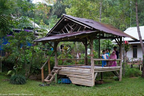 liburan Citalahab gunung Halimun