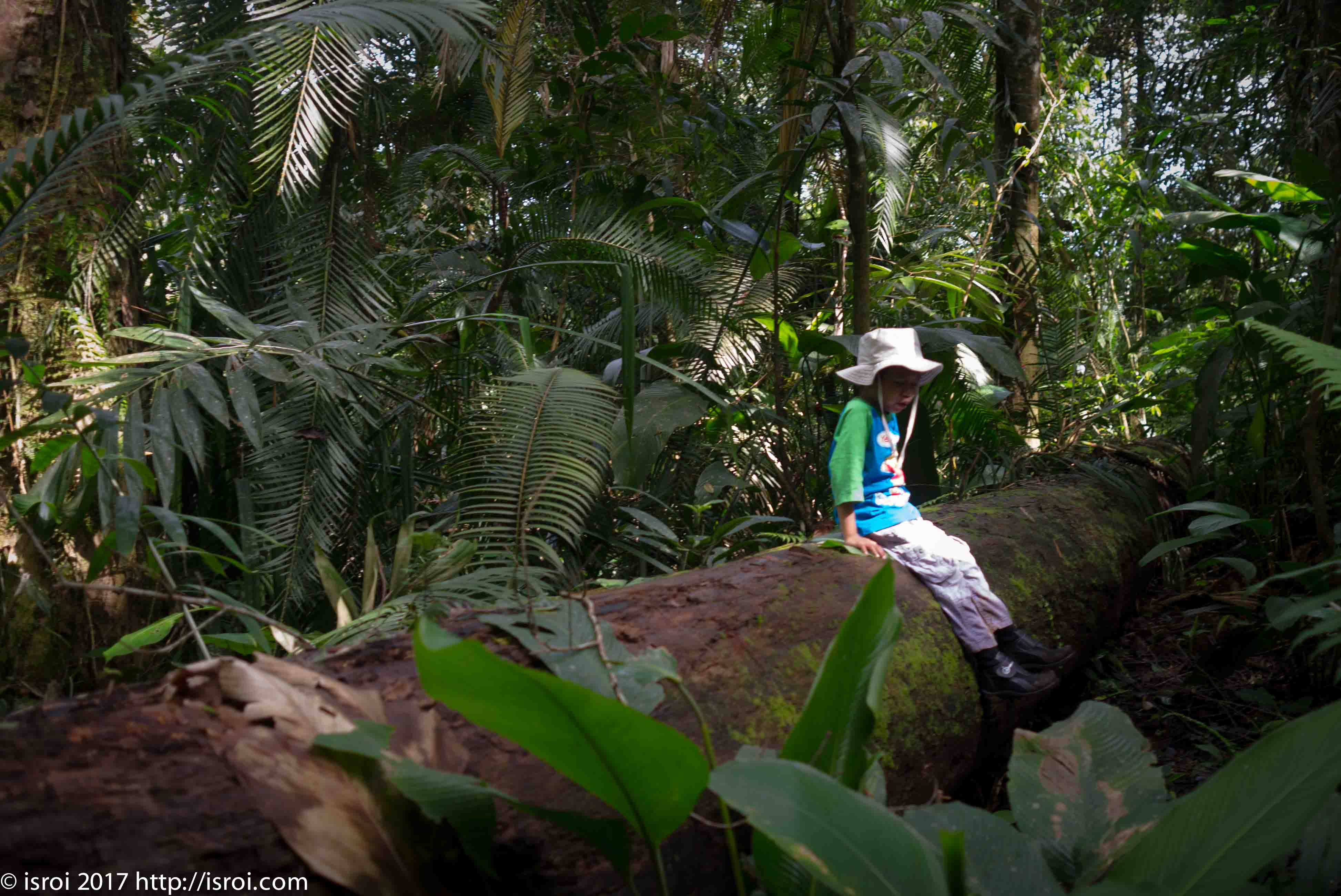 liburan Citalahab gunung Halimun