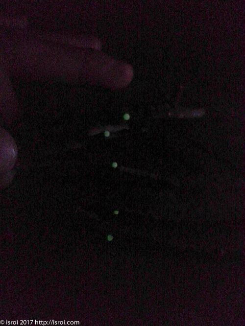 Desa wisata citalahab halimun