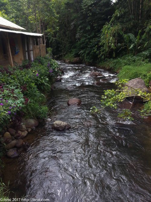 Desa wisata citalahab halimun