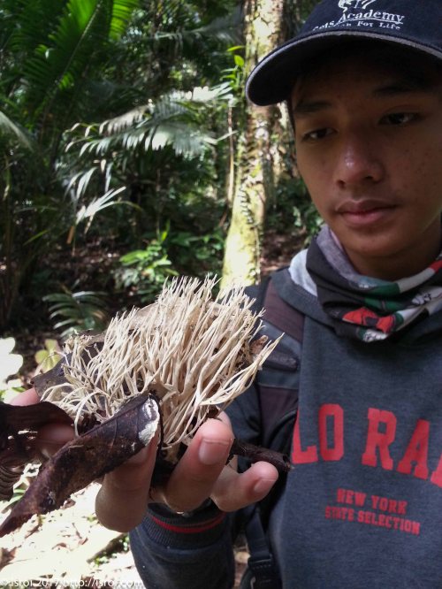 Desa wisata citalahab halimun