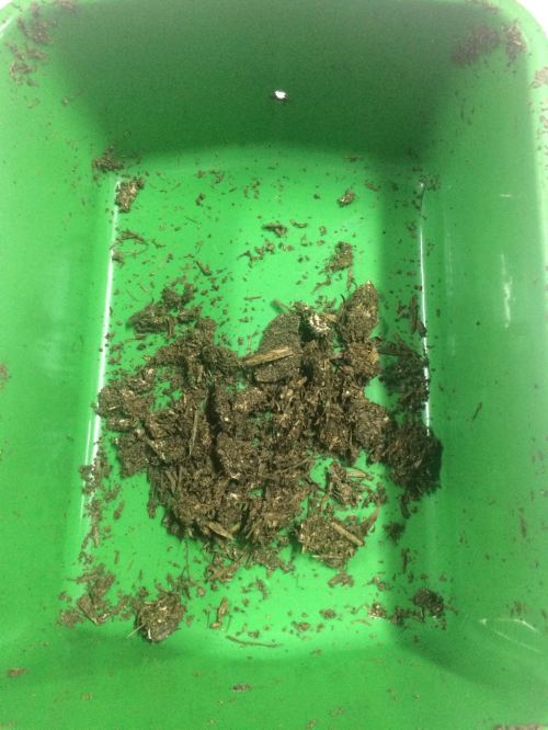 bioplastik pengujian disintegrasi