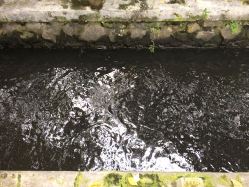 promi sampah warga larangan sidoharjo