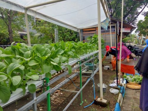 whatsapp-image-2017-02-20-at-07-58-06