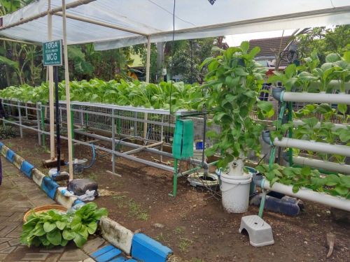 whatsapp-image-2017-02-20-at-07-58-12