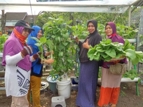 whatsapp-image-2017-02-20-at-07-58-13-1