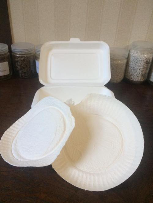 Biofoam penganti styrofoam