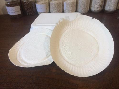 Biofoam penganti styrofoam