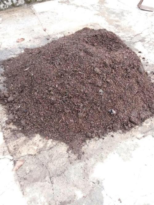 kompos kulit singkong promi