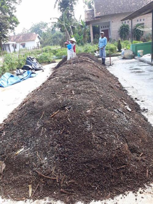 kompos kulit singkong promi