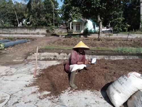 kompos kulit singkong promi