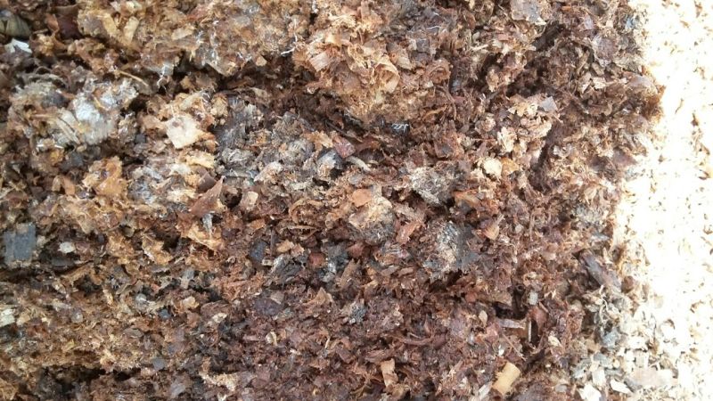 pengomposan limbah kayu