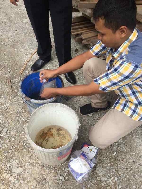 Pengomposan limbah kayu dengan Promi