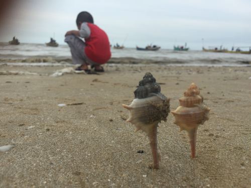 mengedit foto dengan Lightroom di HP