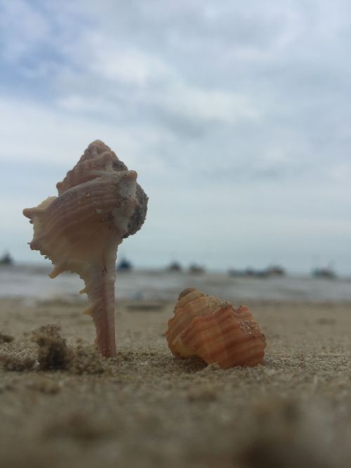 mengedit foto dengan Lightroom di HP