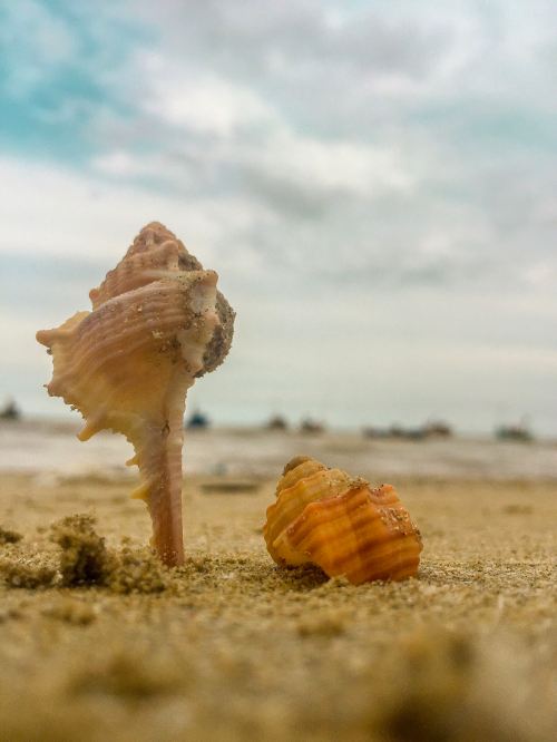 mengedit foto dengan Lightroom di HP