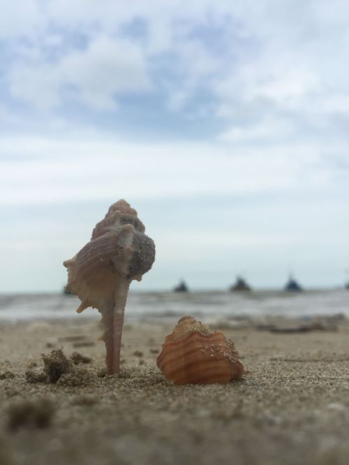 mengedit foto dengan Lightroom di HP