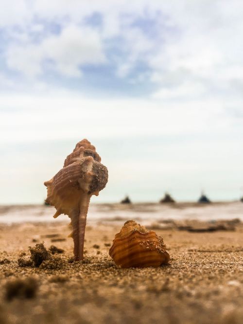 mengedit foto dengan Lightroom di HP