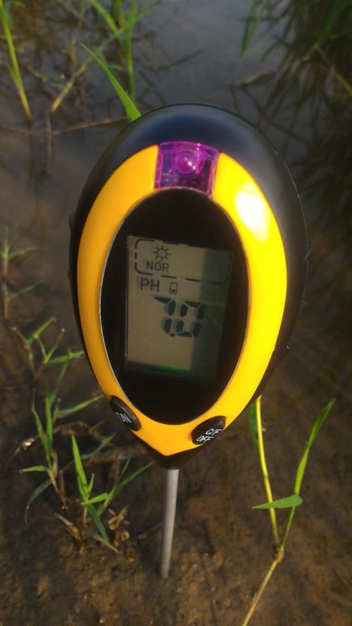 pH tanah setelah aplikasi asam humat dan kaptan