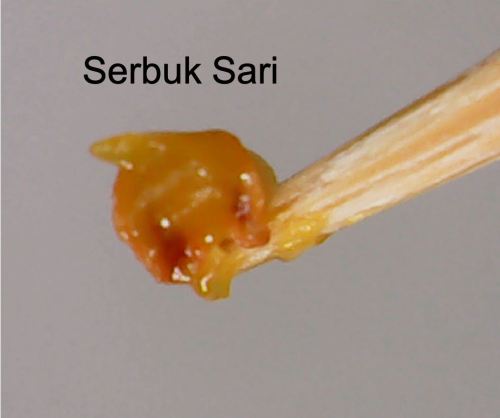 bagian bunga anggrek kantong