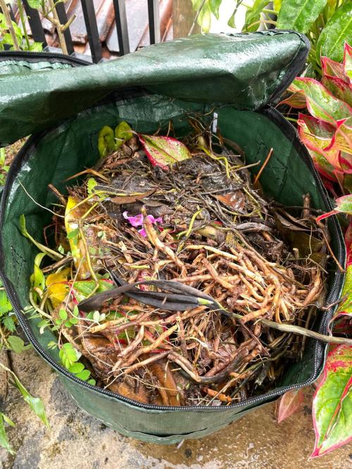 Kompos Sampah Organik